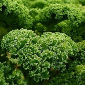 Luchious, green kale