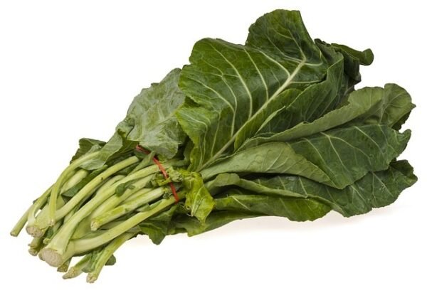 A bunch of fresh, crisp collard greens