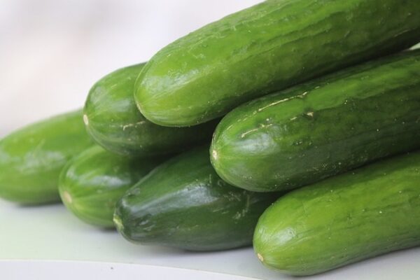 Cucumber