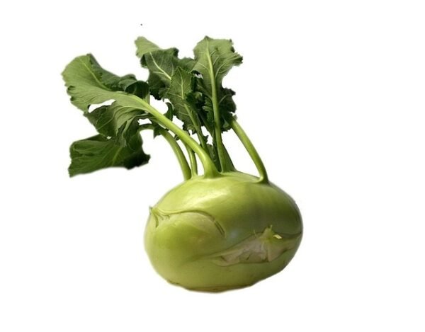 Kohlrabi, Round Globe with leaves at the top. German Cabbage.