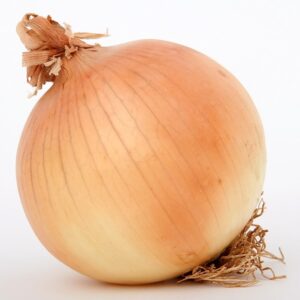 Onion