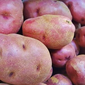 Red Potatoes